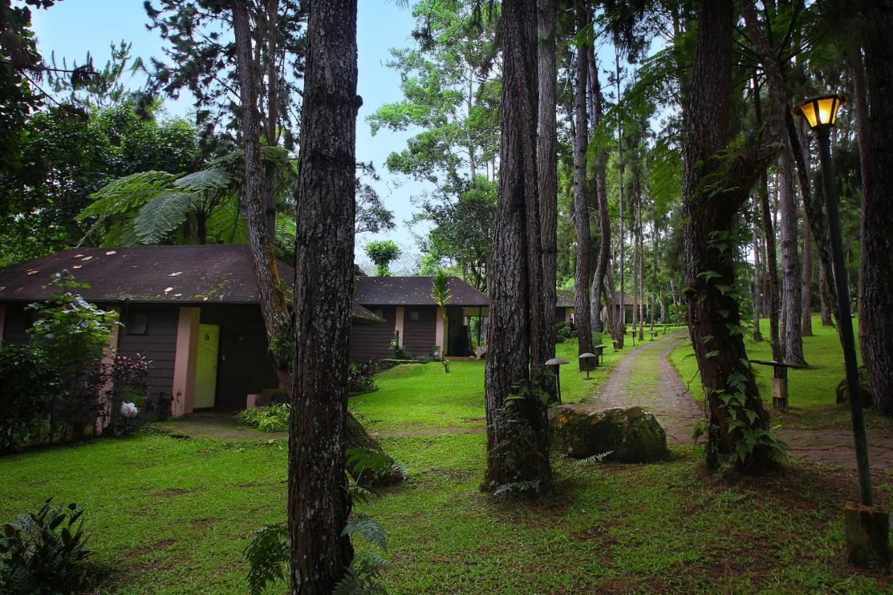 Eden Nature Park And Resort Davao Экстерьер фото